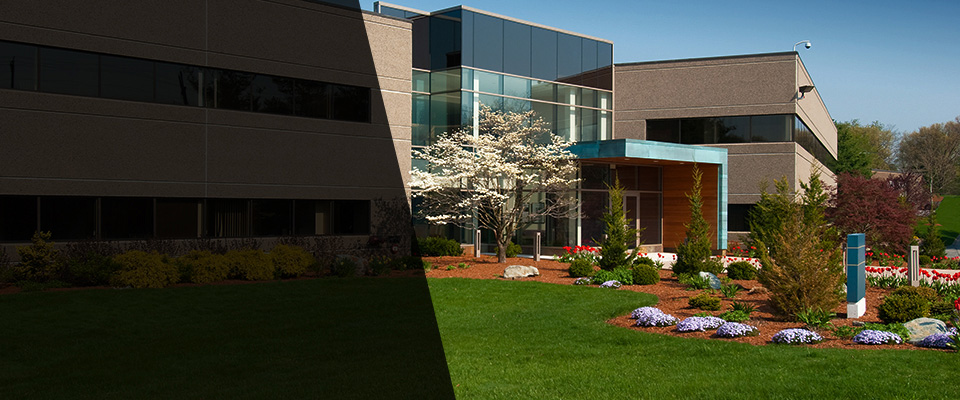 Redding Landscapers