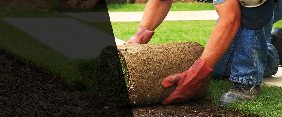 Redding Landscapers